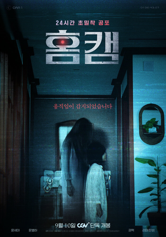 Домашняя камера (2025)