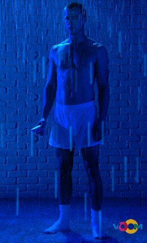 Brad Pitt Video Portrait (2006)