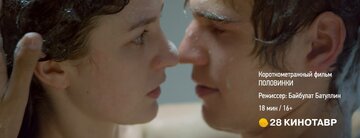 Половинки (2017)