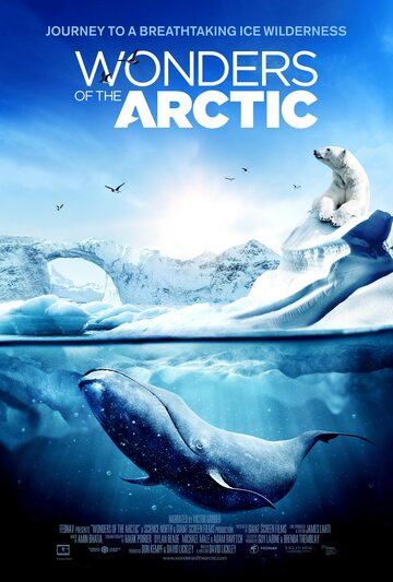 Смотреть Чудеса Арктики (2014) онлайн в HD 720