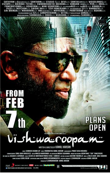 Многоликий Янус (2013)