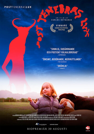 После мрака свет (2012)