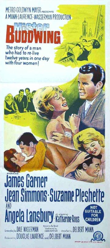 Мистер Буддвинг (1966)