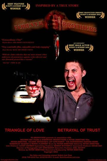 Братья навсегда (2003)