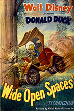 Смотреть Wide Open Spaces (1947) онлайн в HD качестве 720p