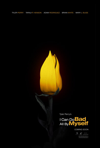 Мои собственные ошибки (2009)