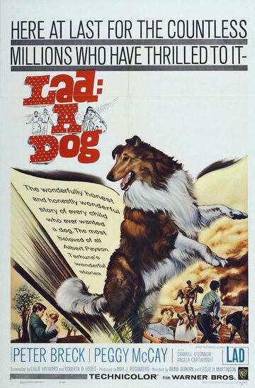 Lad: A Dog (1962)
