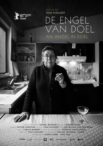 Ангел в Доэле (2011)