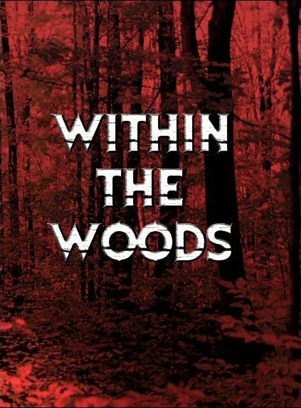 В лесах (1978)