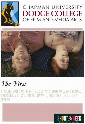 Первый раз (2011)