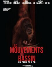 Движения бёдрами (2012)