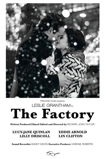 The Factory (2013)