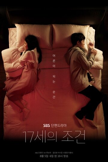 Условия 17-летних (2019)