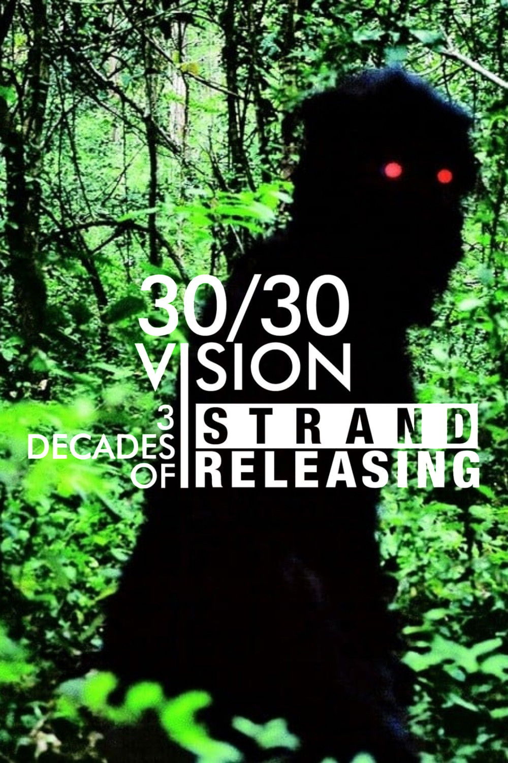 30/30 Vision: 3 Decades of Strand Releasing (2019)