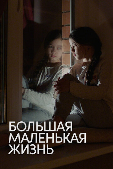 Большая маленькая жизнь (2020)