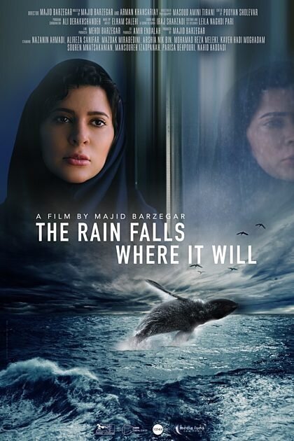 The Rain Falls Where it Will (2020)