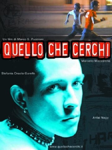 Что ищет он (2002)