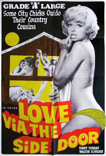 Любовь с черного хода (1969)