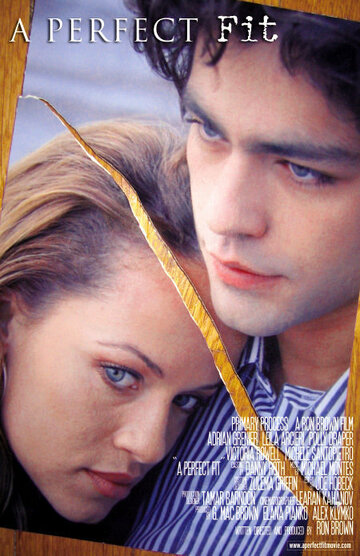 Идеальный вариант (2005)