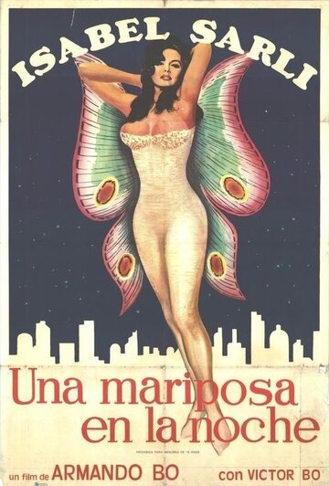 Ночная бабочка (1976)