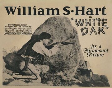 Белый дуб (1921)