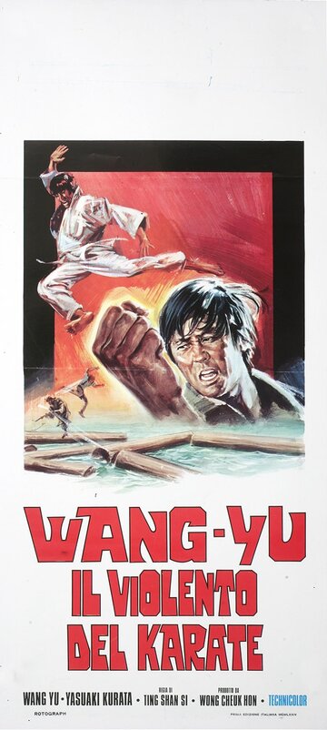 Странствующий рыцарь (1973)