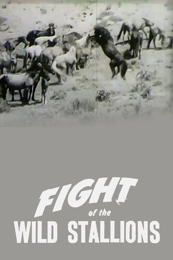 Fight of the Wild Stallions (1947)
