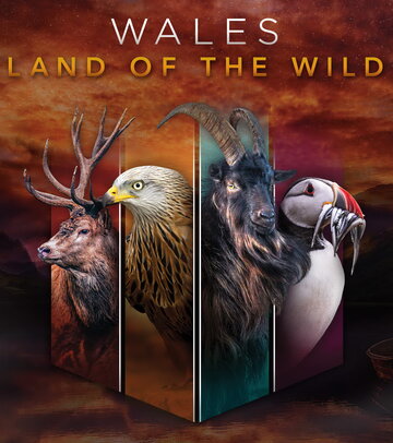 Wales: Land of the Wild (2019)